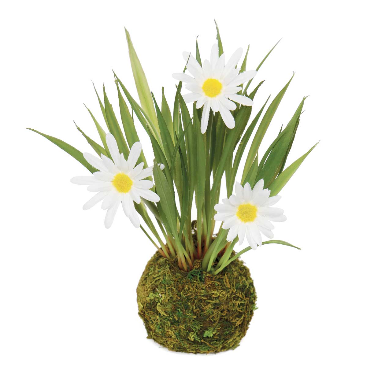 MINI DAISY X3 AND GRASS WITH FAUX DIRT/MOSS 6"x8" WHITE